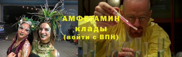 стафф Алзамай