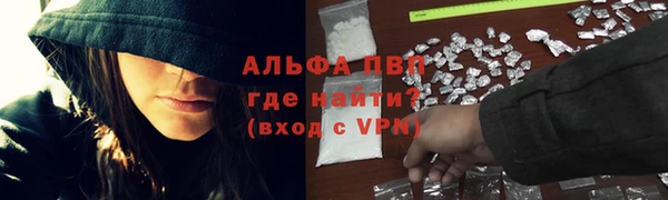 стафф Алзамай