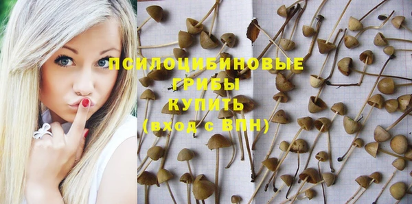 гидропоника Алексеевка