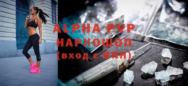 мдпв Вяземский